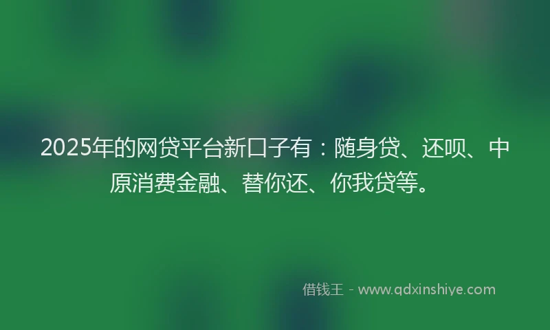 2025年的网贷平台新口子有：随身贷、还呗、中原消费金融、替你还、你我贷等。