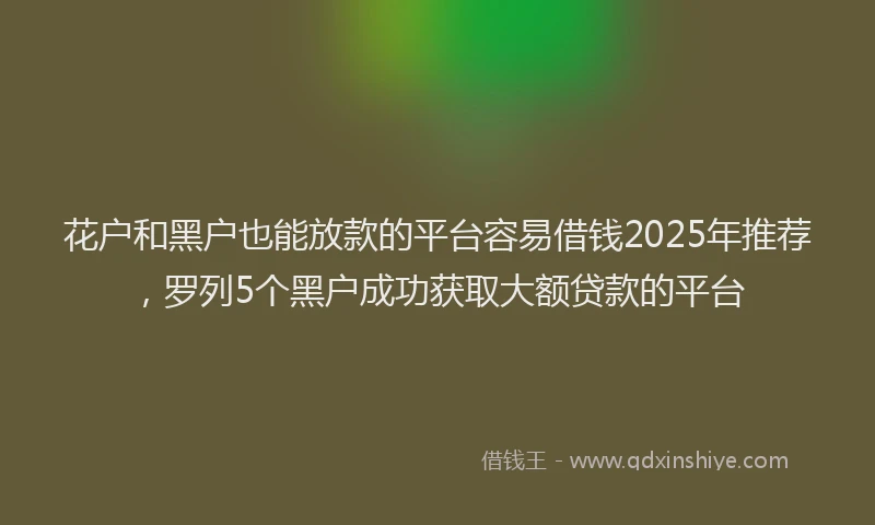 花户和黑户也能放款的平台容易借钱2025年推荐，罗列5个黑户成功获取大额贷款的平台