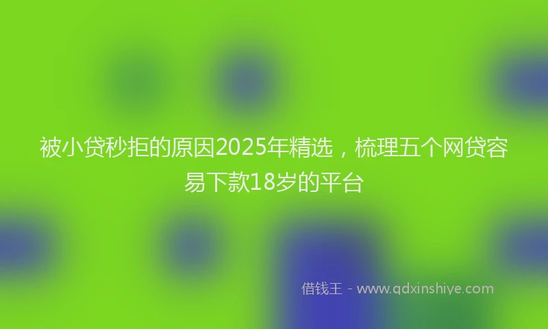 被小贷秒拒的原因2025年精选，梳理五个网贷容易下款18岁的平台