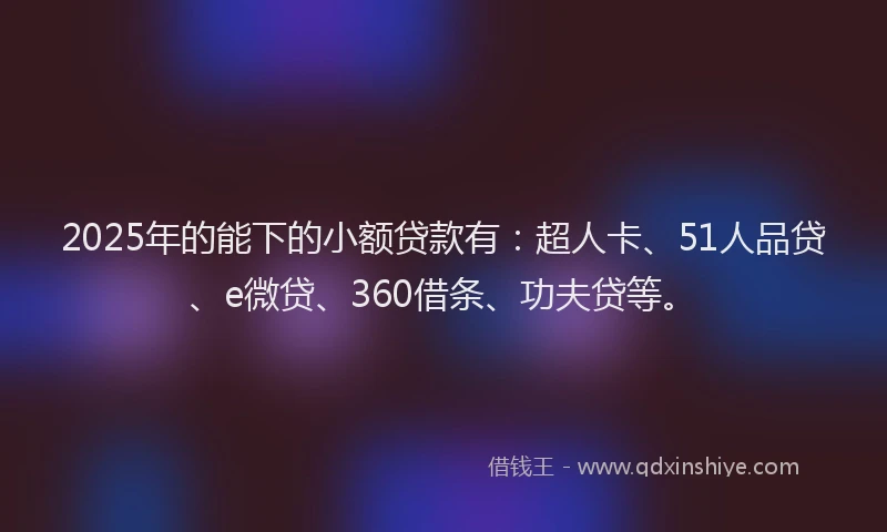 2025年的能下的小额贷款有：超人卡、51人品贷、e微贷、360借条、功夫贷等。