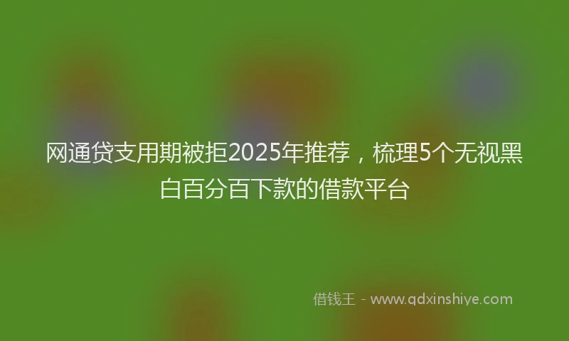 网通贷支用期被拒2025年推荐，梳理5个无视黑白百分百下款的借款平台