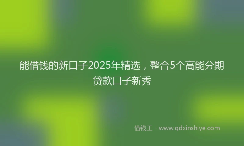 能借钱的新口子2025年精选，整合5个高能分期贷款口子新秀
