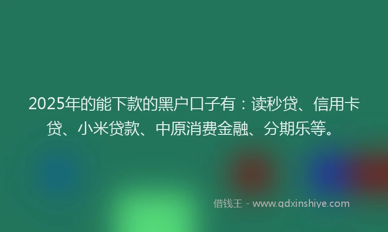 2025年的能下款的黑户口子有：读秒贷、信用卡贷、小米贷款、中原消费金融、分期乐等。