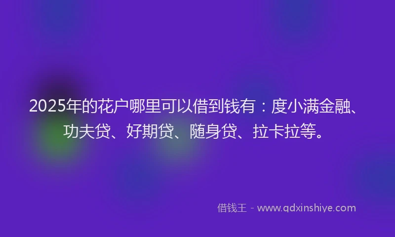 2025年的花户哪里可以借到钱有：度小满金融、功夫贷、好期贷、随身贷、拉卡拉等。