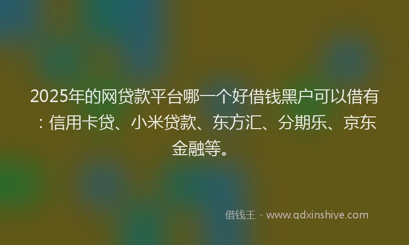2025年的网贷款平台哪一个好借钱黑户可以借有：信用卡贷、小米贷款、东方汇、分期乐、京东金融等。