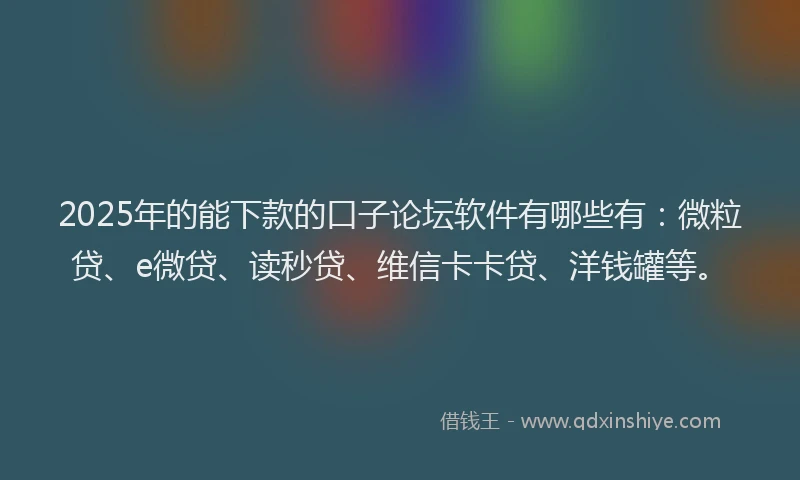 2025年的能下款的口子论坛软件有哪些有：微粒贷、e微贷、读秒贷、维信卡卡贷、洋钱罐等。