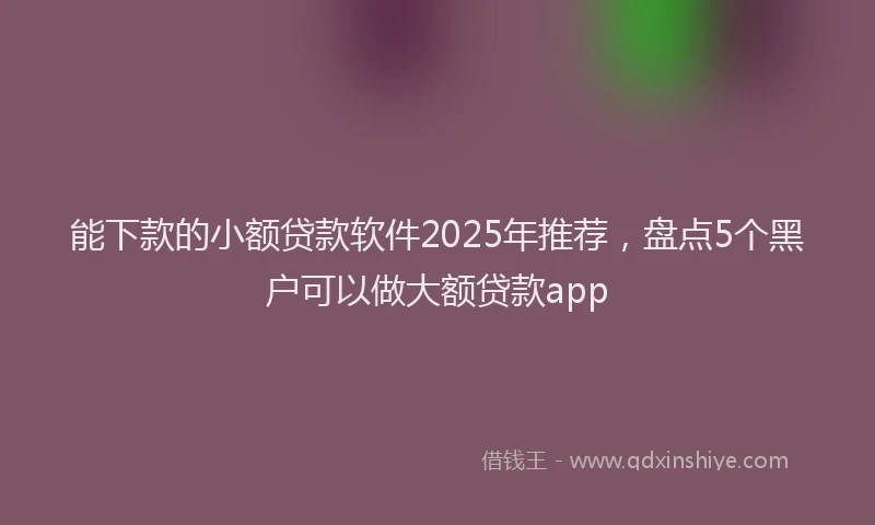 能下款的小额贷款软件2025年推荐，盘点5个黑户可以做大额贷款app