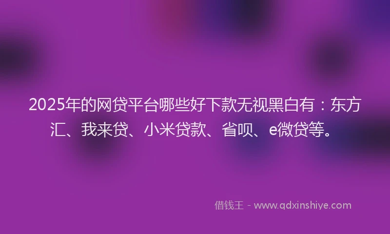 2025年的网贷平台哪些好下款无视黑白有：东方汇、我来贷、小米贷款、省呗、e微贷等。