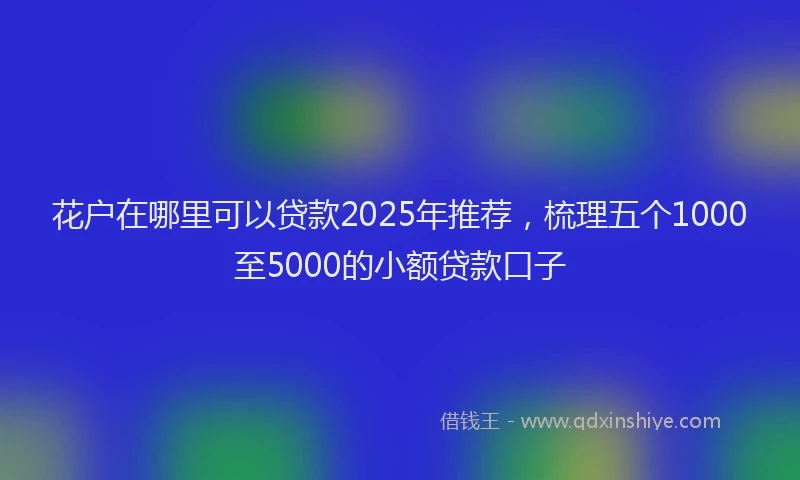 花户在哪里可以贷款2025年推荐，梳理五个1000至5000的小额贷款口子