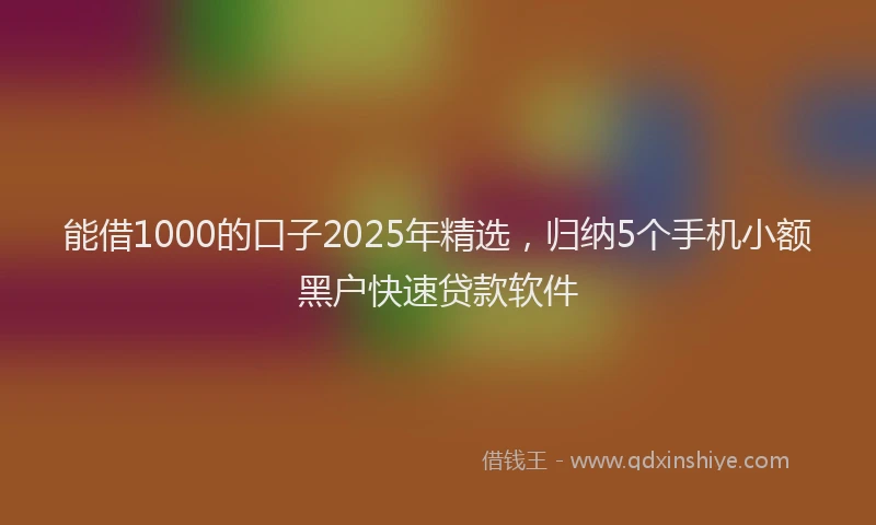 能借1000的口子2025年精选，归纳5个手机小额黑户快速贷款软件