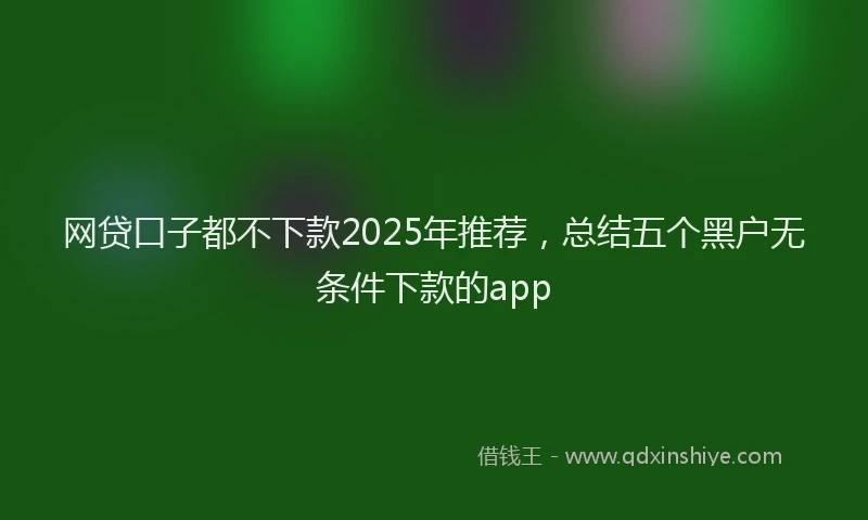 网贷口子都不下款2025年推荐，总结五个黑户无条件下款的app
