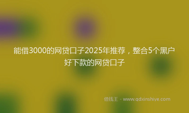 能借3000的网贷口子2025年推荐，整合5个黑户好下款的网贷口子