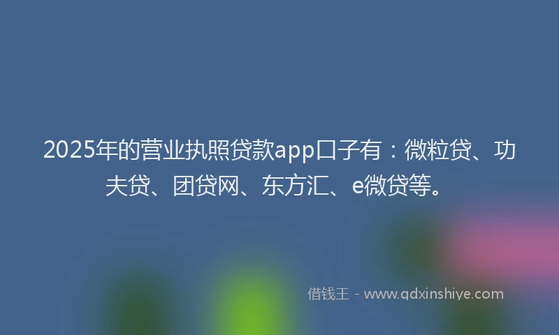 2025年的营业执照贷款app口子有：微粒贷、功夫贷、团贷网、东方汇、e微贷等。