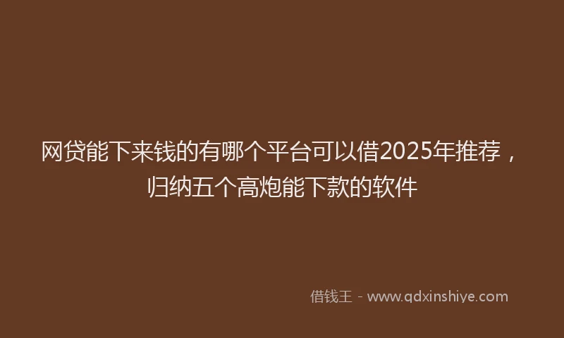 网贷能下来钱的有哪个平台可以借2025年推荐，归纳五个高炮能下款的软件