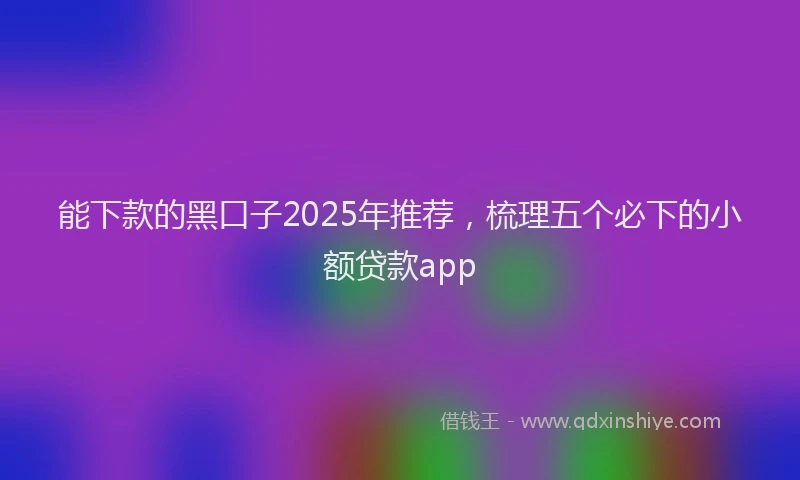 能下款的黑口子2025年推荐，梳理五个必下的小额贷款app