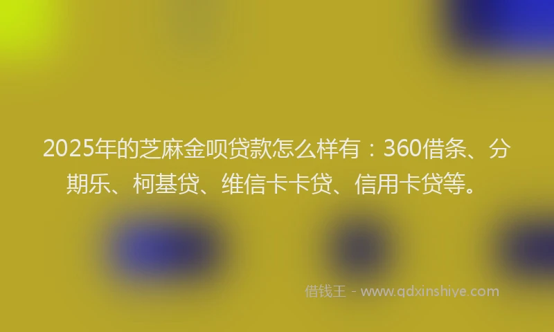 2025年的芝麻金呗贷款怎么样有：360借条、分期乐、柯基贷、维信卡卡贷、信用卡贷等。