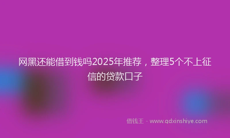 网黑还能借到钱吗2025年推荐，整理5个不上征信的贷款口子