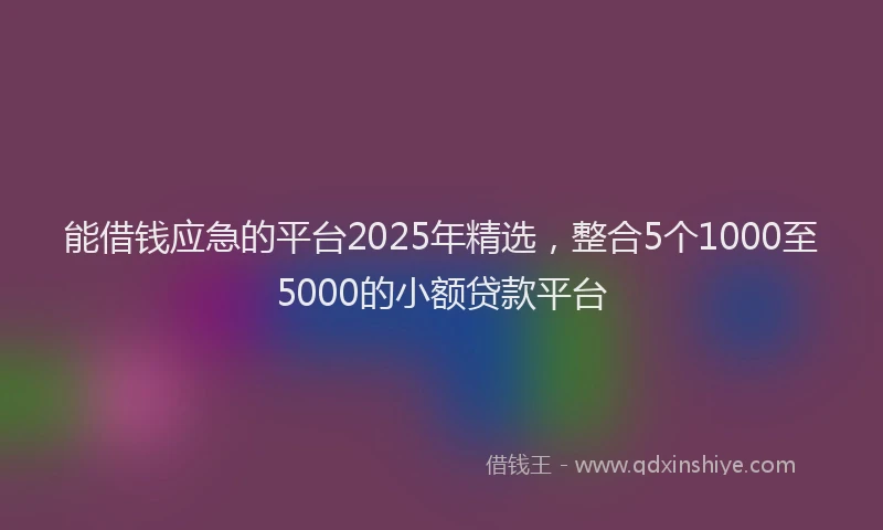 能借钱应急的平台2025年精选，整合5个1000至5000的小额贷款平台