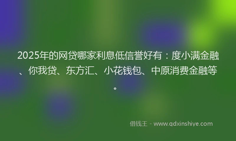 2025年的网贷哪家利息低信誉好有：度小满金融、你我贷、东方汇、小花钱包、中原消费金融等。