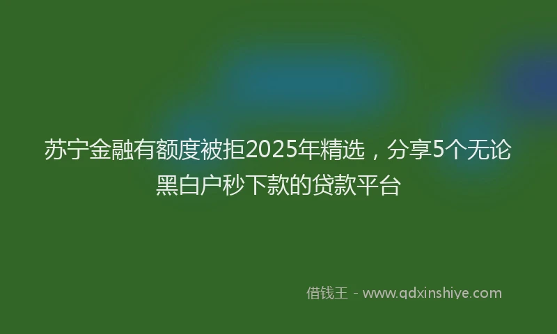 苏宁金融有额度被拒2025年精选，分享5个无论黑白户秒下款的贷款平台