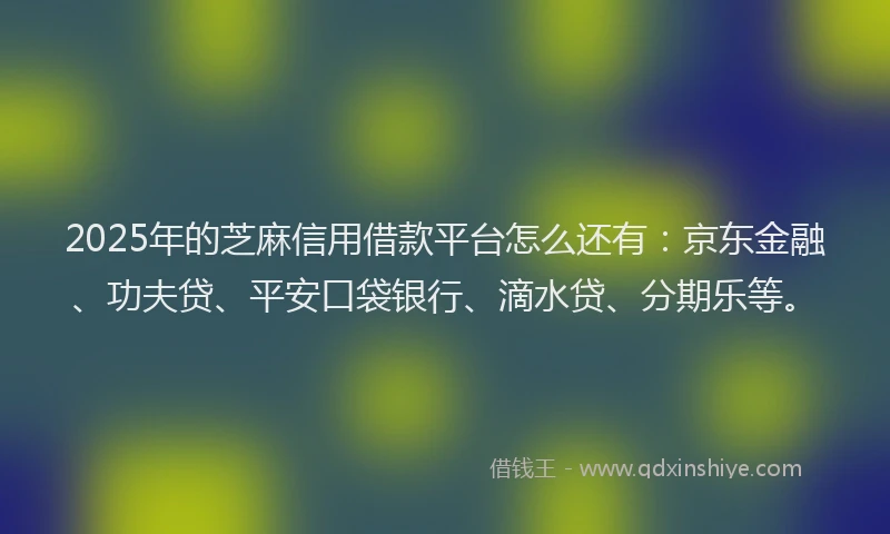 2025年的芝麻信用借款平台怎么还有：京东金融、功夫贷、平安口袋银行、滴水贷、分期乐等。