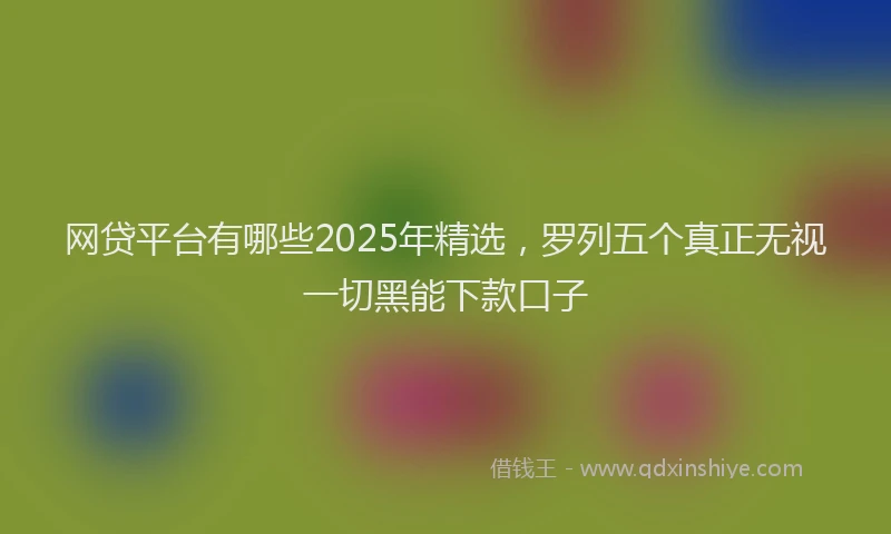 网贷平台有哪些2025年精选，罗列五个真正无视一切黑能下款口子