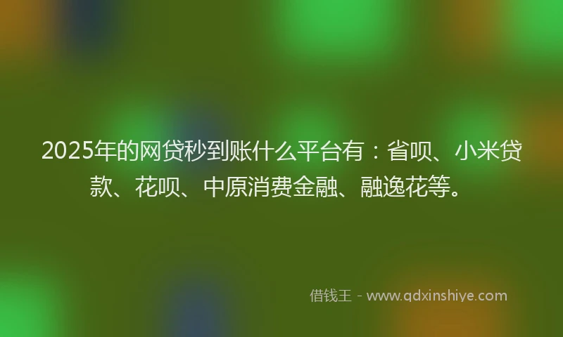 2025年的网贷秒到账什么平台有：省呗、小米贷款、花呗、中原消费金融、融逸花等。