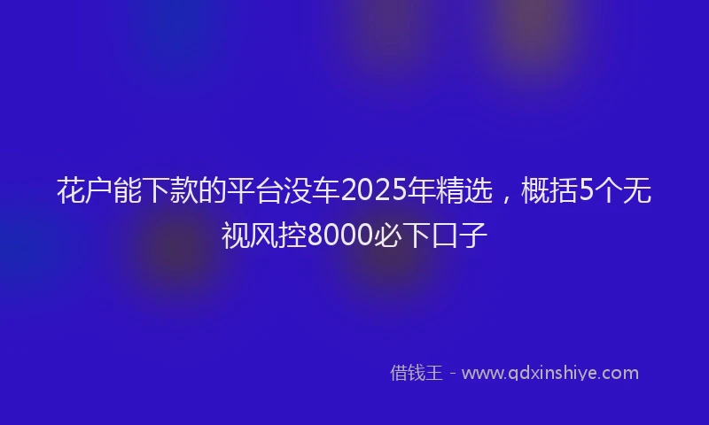 花户能下款的平台没车2025年精选，概括5个无视风控8000必下口子