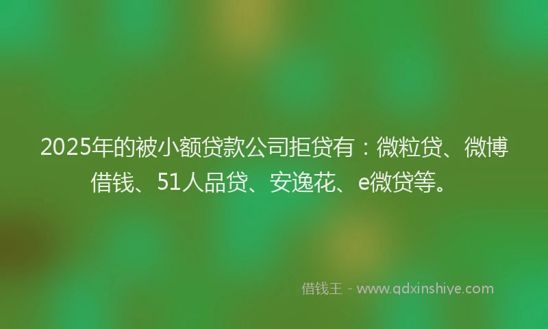 2025年的被小额贷款公司拒贷有：微粒贷、微博借钱、51人品贷、安逸花、e微贷等。
