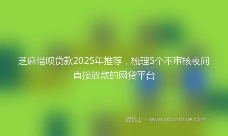 芝麻借呗贷款2025年推荐，梳理5个不审核夜间直接放款的网贷平台