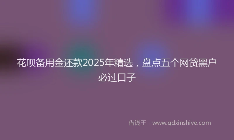 花呗备用金还款2025年精选，盘点五个网贷黑户必过口子