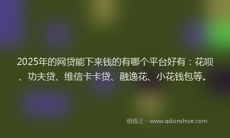 2025年的网贷能下来钱的有哪个平台好有：花呗、功夫贷、维信卡卡贷、融逸花、小花钱包等。