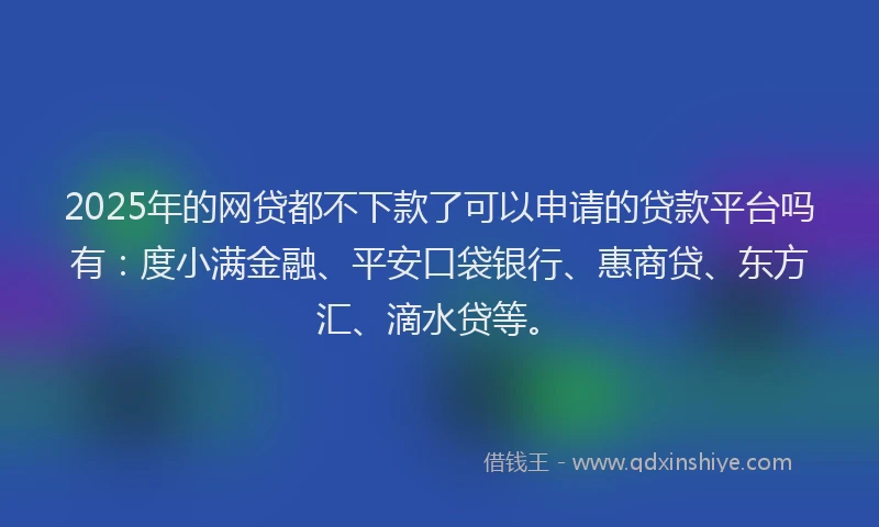 2025年的网贷都不下款了可以申请的贷款平台吗有：度小满金融、平安口袋银行、惠商贷、东方汇、滴水贷等。