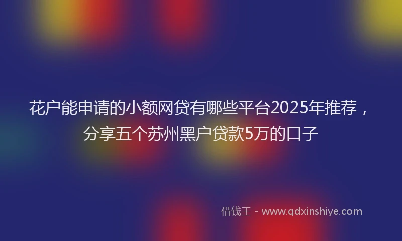 花户能申请的小额网贷有哪些平台2025年推荐，分享五个苏州黑户贷款5万的口子