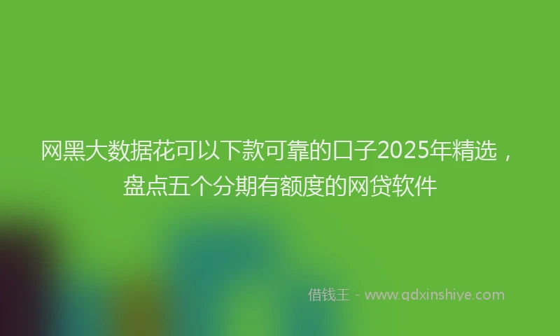 网黑大数据花可以下款可靠的口子2025年精选，盘点五个分期有额度的网贷软件