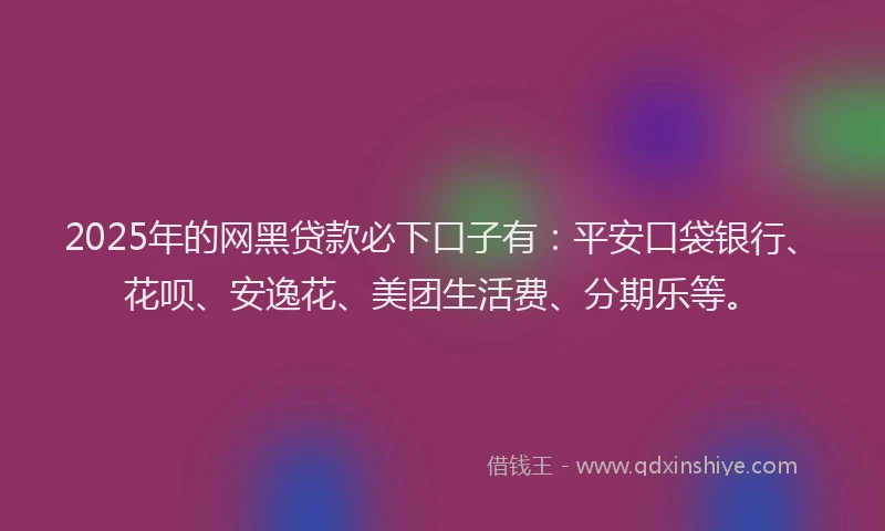 2025年的网黑贷款必下口子有：平安口袋银行、花呗、安逸花、美团生活费、分期乐等。