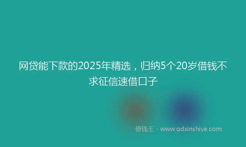 网贷能下款的2025年精选，归纳5个20岁借钱不求征信速借口子