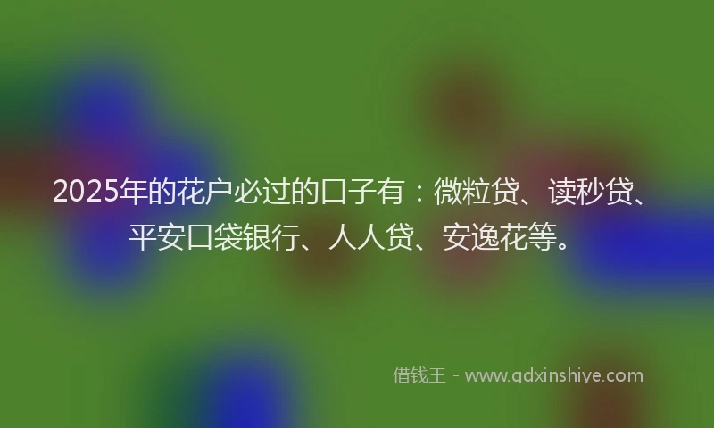 2025年的花户必过的口子有：微粒贷、读秒贷、平安口袋银行、人人贷、安逸花等。