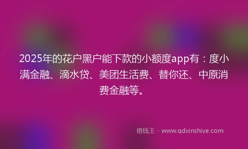 2025年的花户黑户能下款的小额度app有：度小满金融、滴水贷、美团生活费、替你还、中原消费金融等。