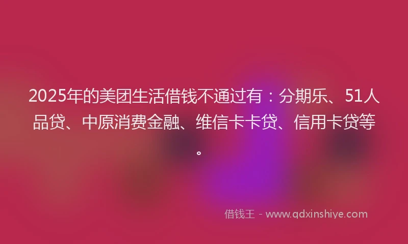 2025年的美团生活借钱不通过有：分期乐、51人品贷、中原消费金融、维信卡卡贷、信用卡贷等。