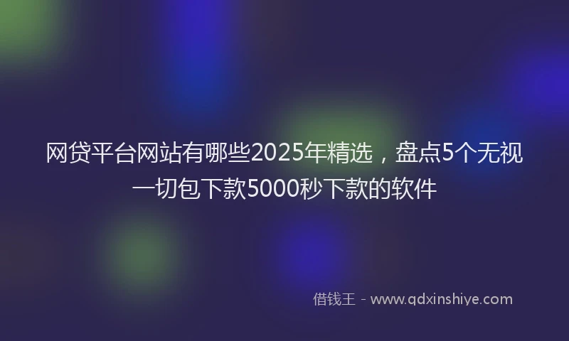 网贷平台网站有哪些2025年精选，盘点5个无视一切包下款5000秒下款的软件