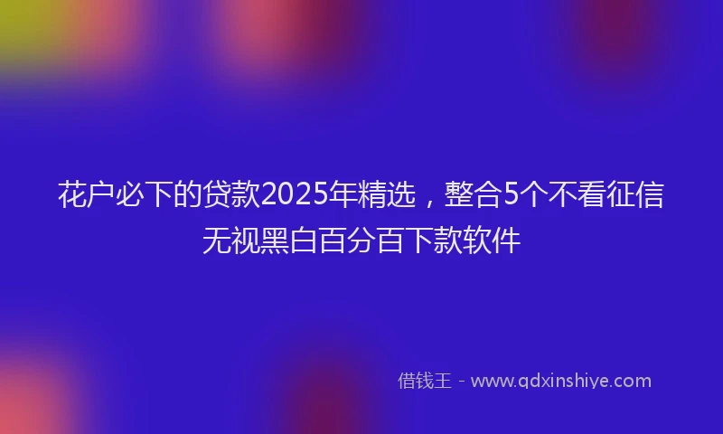 花户必下的贷款2025年精选，整合5个不看征信无视黑白百分百下款软件