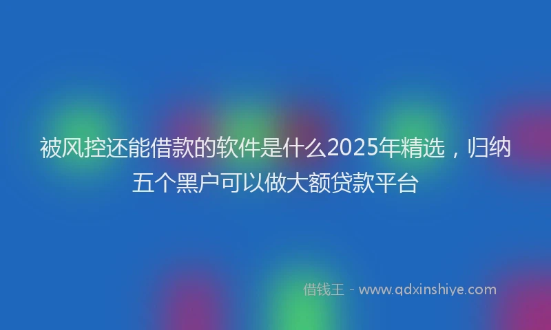 被风控还能借款的软件是什么2025年精选，归纳五个黑户可以做大额贷款平台
