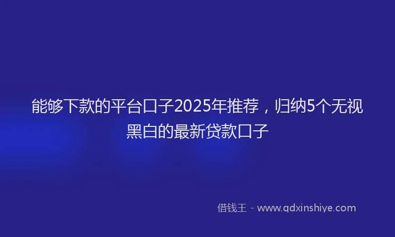 能够下款的平台口子2025年推荐，归纳5个无视黑白的最新贷款口子
