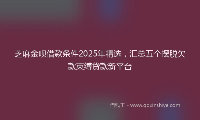 芝麻金呗借款条件2025年精选，汇总五个摆脱欠款束缚贷款新平台