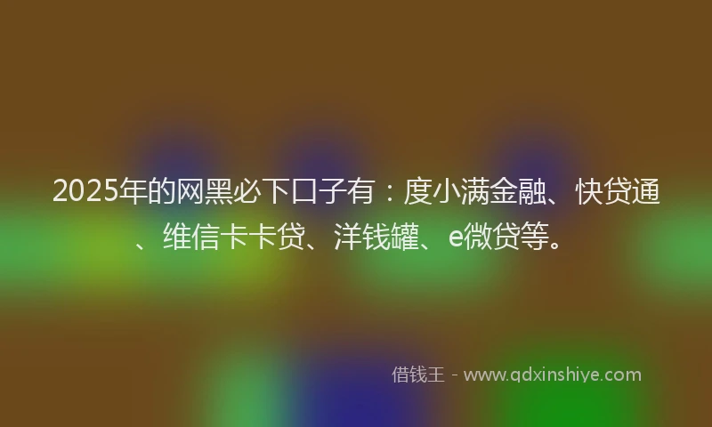 2025年的网黑必下口子有：度小满金融、快贷通、维信卡卡贷、洋钱罐、e微贷等。