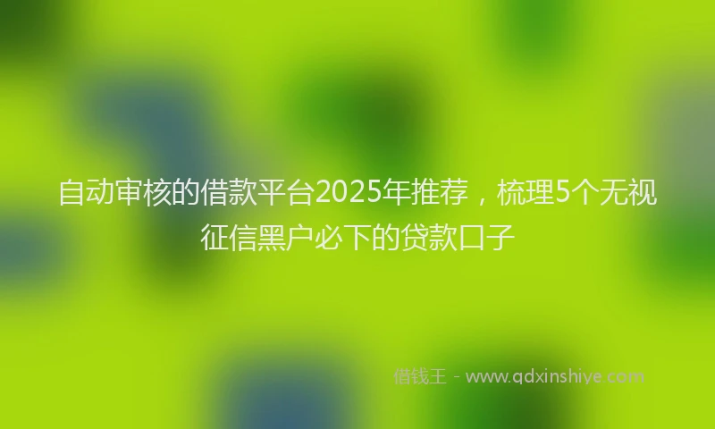 自动审核的借款平台2025年推荐，梳理5个无视征信黑户必下的贷款口子