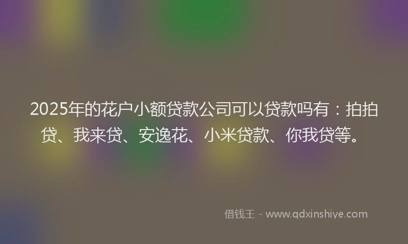 2025年的花户小额贷款公司可以贷款吗有：拍拍贷、我来贷、安逸花、小米贷款、你我贷等。