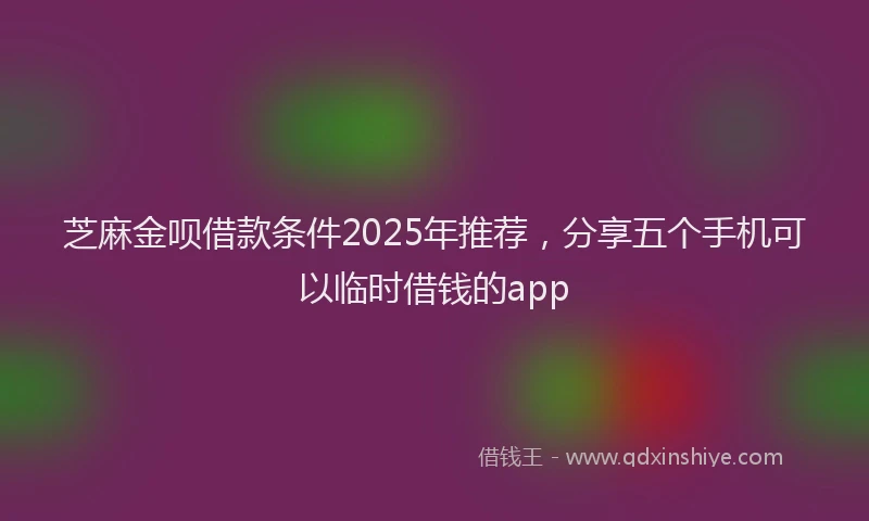芝麻金呗借款条件2025年推荐，分享五个手机可以临时借钱的app