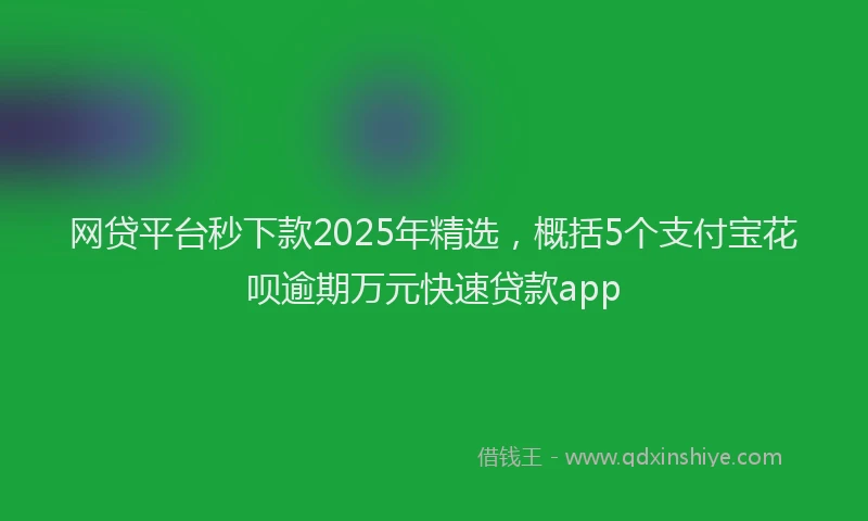 网贷平台秒下款2025年精选，概括5个支付宝花呗逾期万元快速贷款app